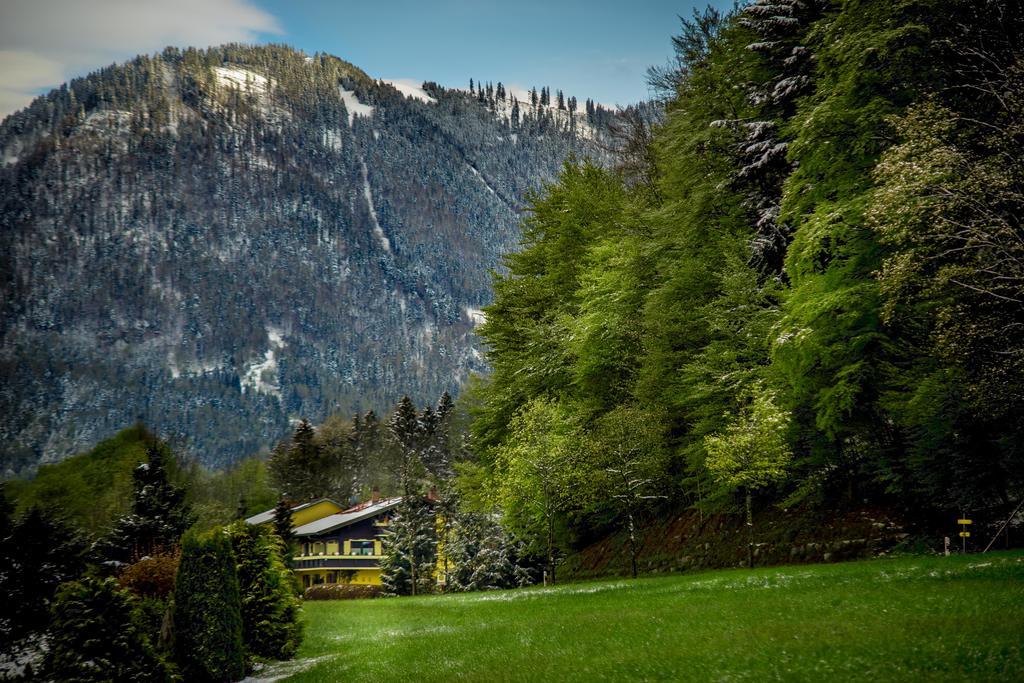 Hotel Garni Zeranka Ruhpolding Exteriér fotografie